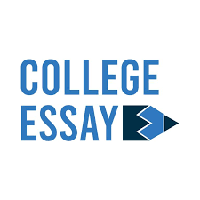 COLLEGE ESSAY WRITING SERVICE